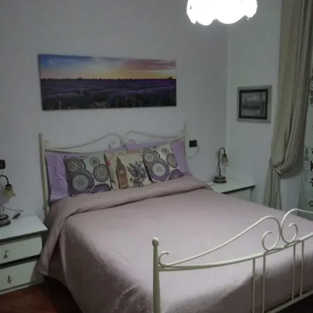 Casa Del Cedro - Cedar House 펜션